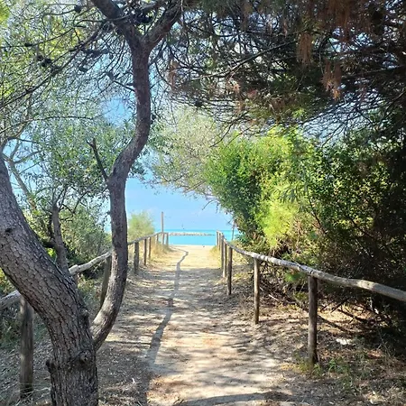 Appartamento Vada *
